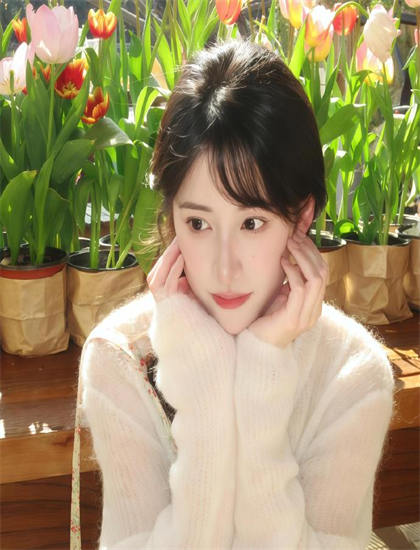 《燕子符》评分测评：是否值得花时间观看的深度分析，修复重制